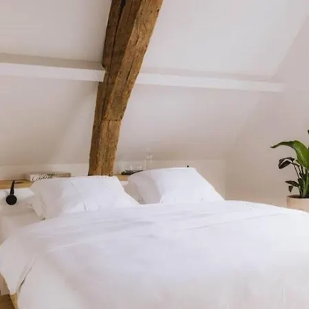 Kozy Spacious Luxurious Antwerpen
